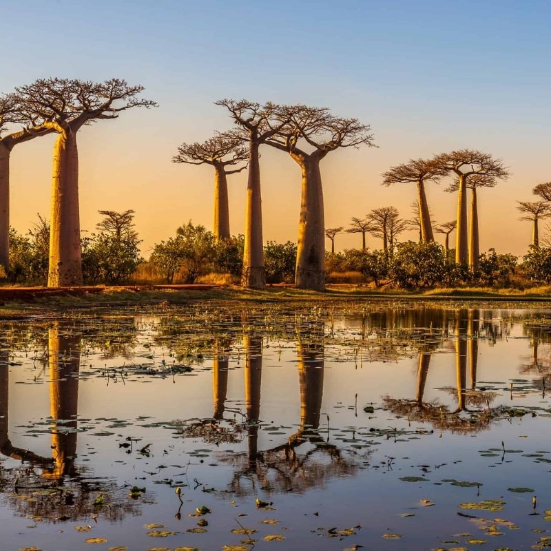 Madagascar