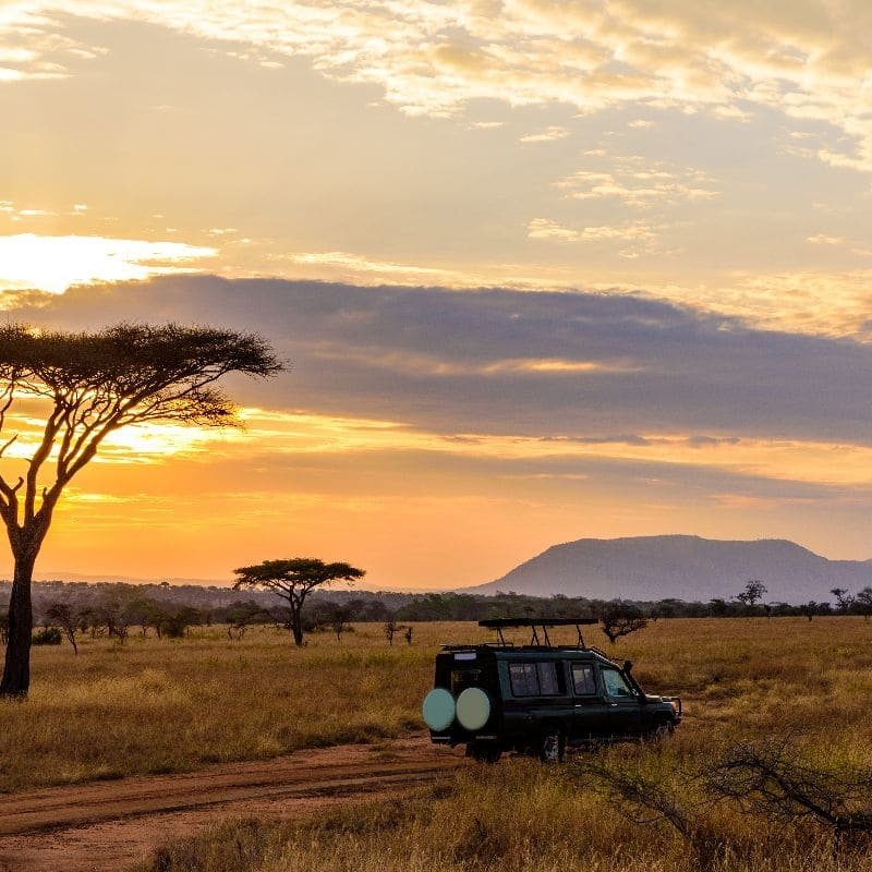 À visiter en Afrique, l'Afrique du Sud