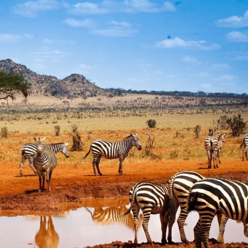 À visiter en Afrique, le Kenya