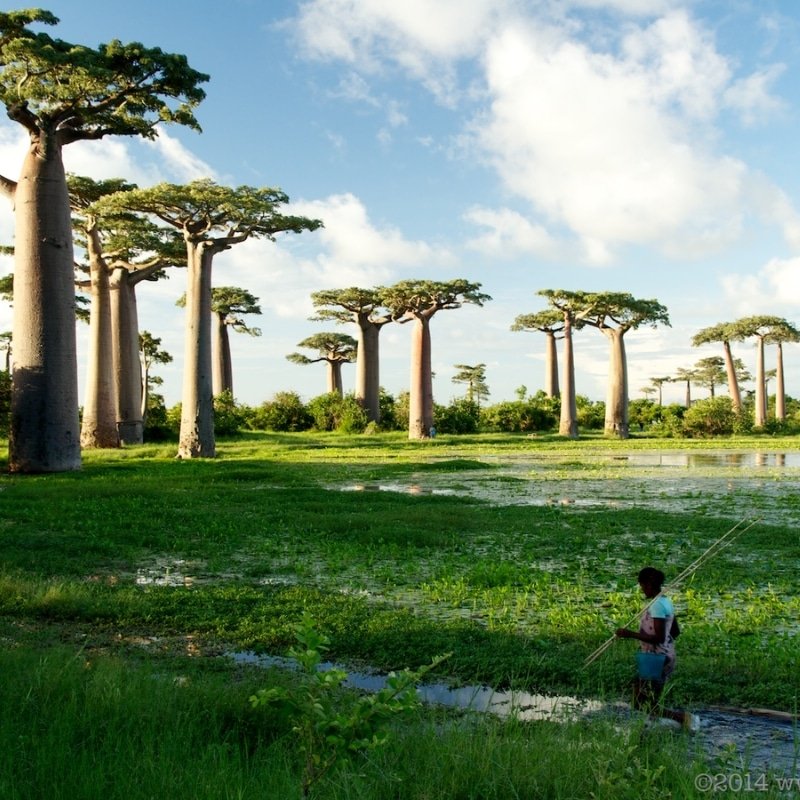 À visiter en Afrique, Madagascar