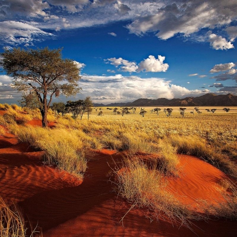 À visiter en Afrique, la Namibie