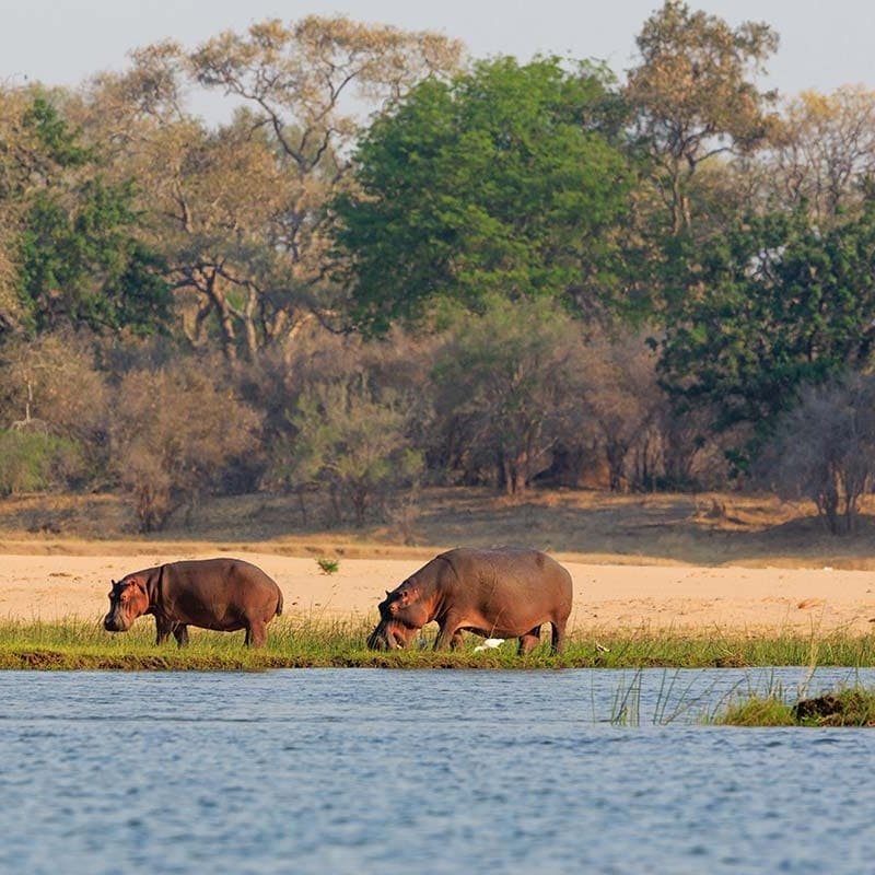 À visiter en Afrique, la Zambie